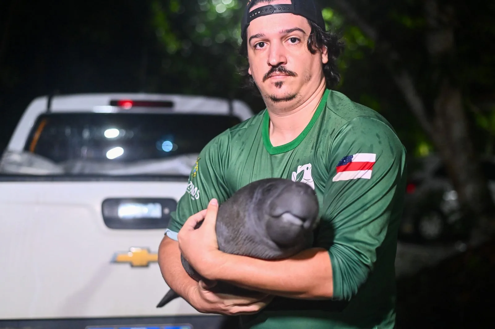 Filhote de peixe-boi é resgatado em Nova Olinda do Norte e levado para o Inpa