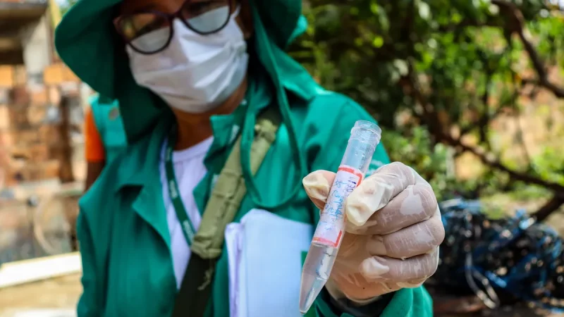 Amazonas ultrapassa 2 mil casos de dengue em 2025