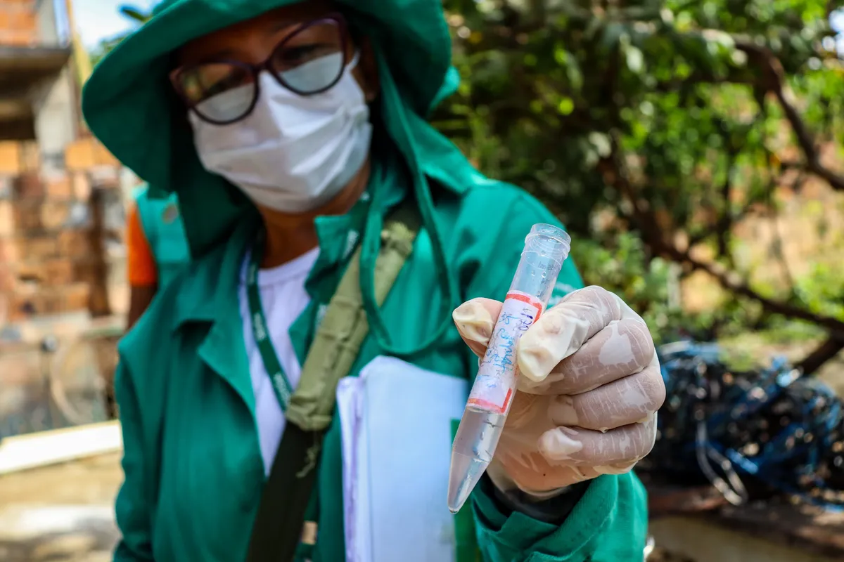 Amazonas ultrapassa 2 mil casos de dengue em 2025